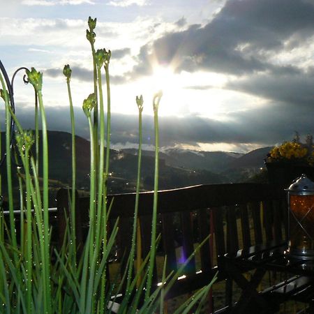 Pension Garni Talblick Baiersbronn Exterior foto