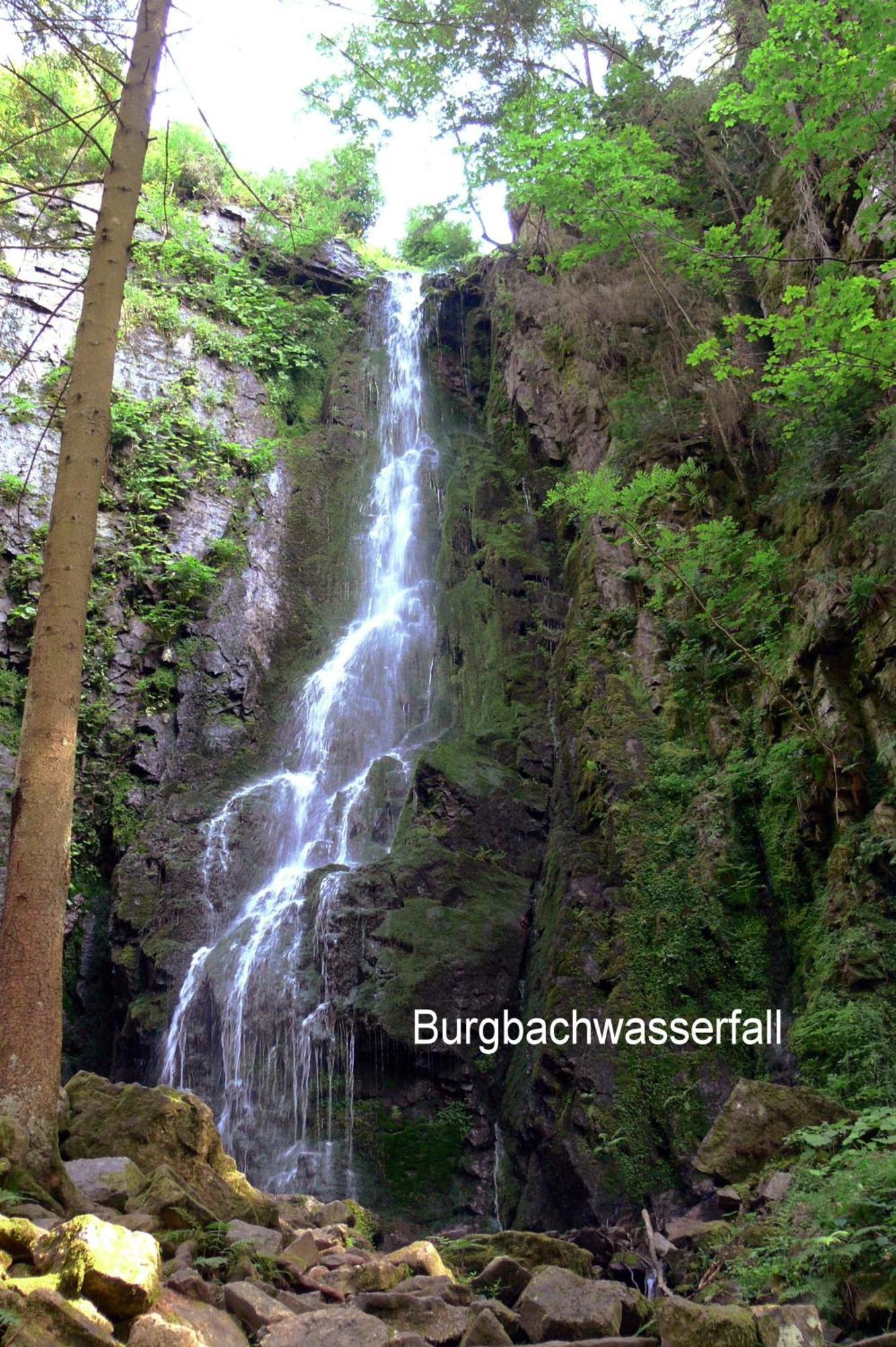 Pension Garni Talblick Baiersbronn Exterior foto