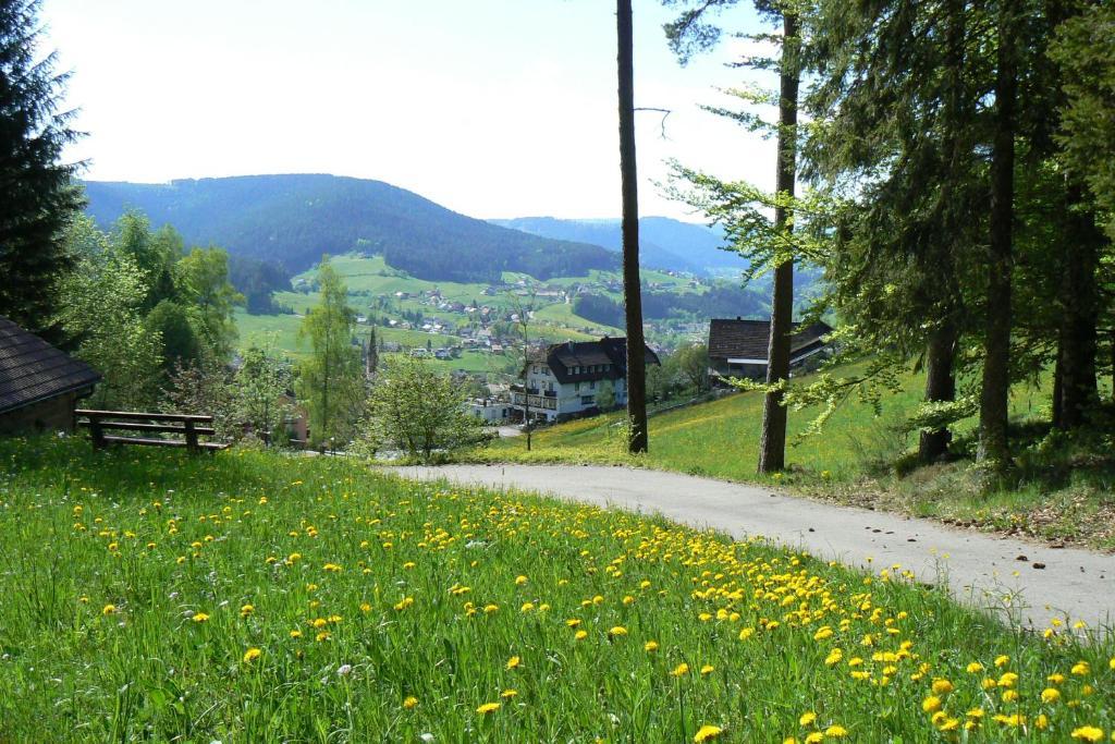 Pension Garni Talblick Baiersbronn Exterior foto