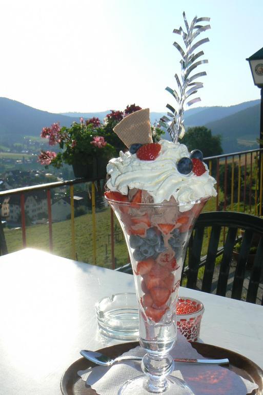 Pension Garni Talblick Baiersbronn Exterior foto