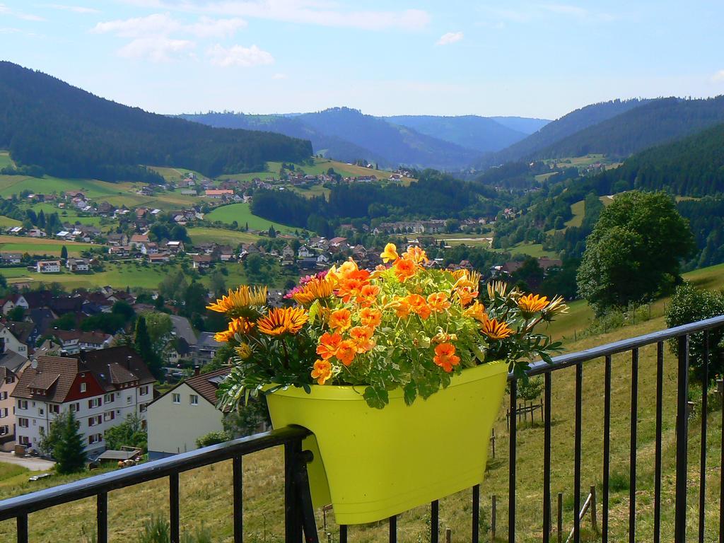 Pension Garni Talblick Baiersbronn Exterior foto